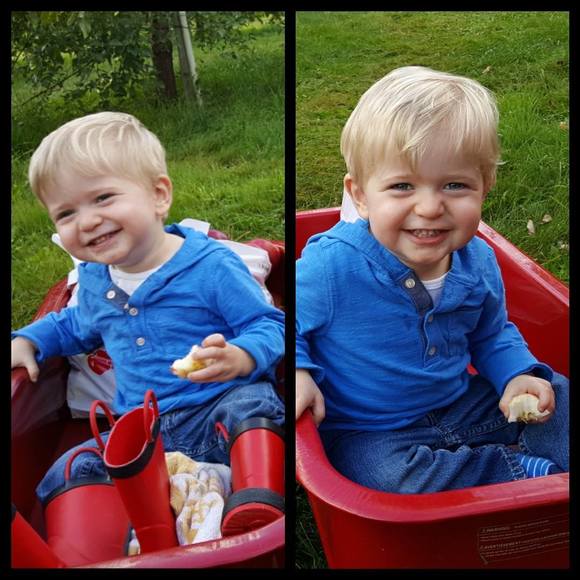 Meet your Posher, Jaimi - Picture 1 of 1